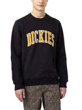 Dickies Felpa Aitkin Uomo DK0A4XAB - Nero