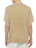 Dickies T-shirt Newington Uomo DK0A4YRO - Beige