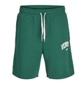 Jack e Jones Bermuda Casual Shorts Sportivi Uomo 12270193 Evergreen - Verde