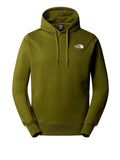 The North Face Felpa Cappuccio The North Face M Seasonal Drew Peak da Uomo - Verde