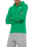 The North Face Felpa Cappuccio The North Face M Seasonal Drew Peak da Uomo - Verde