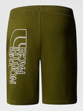 The North Face Bermuda Casual The North Face Graphic da Uomo - Verde