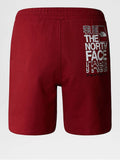 The North Face Bermuda Casual Coordinates Uomo NF0A87EC Iron Red - Rosso