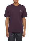 Dickies T-shirt Summerdale Uomo DK0A4YAI Plum Perfect - Bordeaux