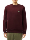 Lacoste Felpa Uomo SH9608 - Bordeaux