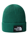 The North Face Berretto Logo Box Cuffed Unisex NF0A3FJX Evergreen - Verde