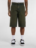 Dickies Bermuda Casual Loose Painter Uomo DK0A4ZAS Green Tone Fade - Denim