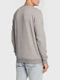 Men's Sweatshirt 11863704 Light Grey - Grey